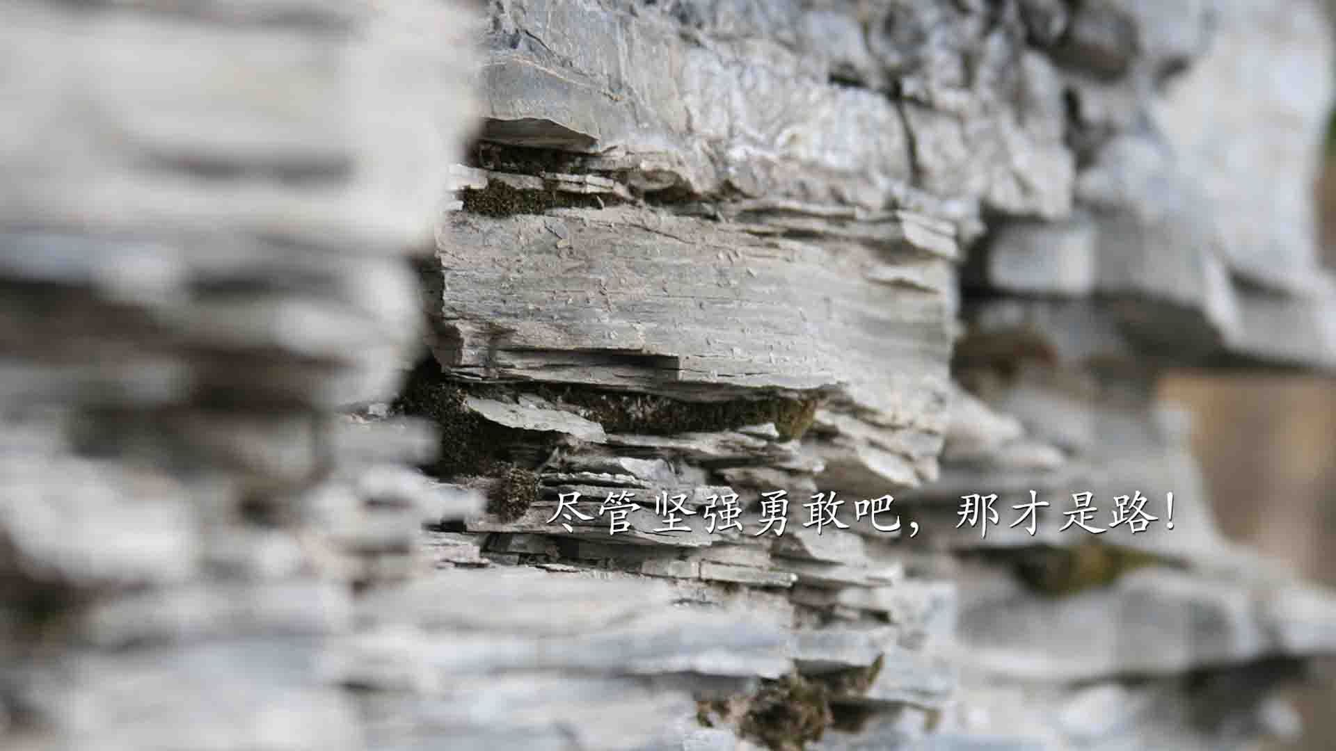 山西龙狮的防守策略赢得教练组高度评价，龙狮球队